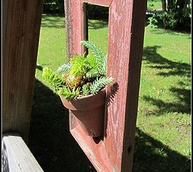 framing succulents, flowers, gardening, succulents