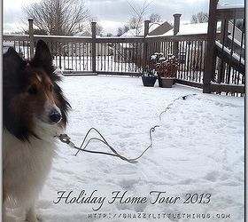 my 2013 holiday virtual open house, seasonal holiday d cor, My dog Buddy who is temporarily finished feasting on snow