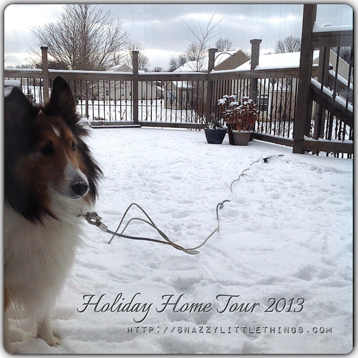 my 2013 holiday virtual open house, seasonal holiday d cor, My dog Buddy who is temporarily finished feasting on snow