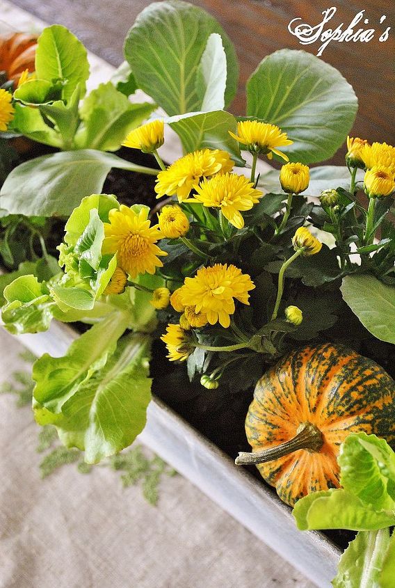 five easy fall centerpiece tips, gardening, seasonal holiday decor