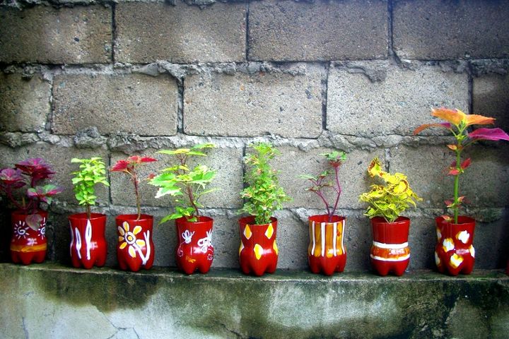 upcycled pet bottles as pretty coleous planters, crafts, gardening, repurposing upcycling, Upcycled PET bottles as Pretty Coleous planters