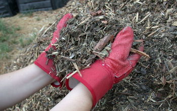 Mulch It! Cover Crops for Organic Gardens.