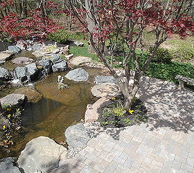find serenity now with a water garden and patio, decks, flowers, gardening, landscape, outdoor living, patio, ponds water features, Change your view of leisure time water gardening is a lifestyle investment all you have to do is decide to take the plunge