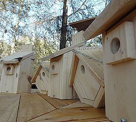 bird houses made from pallet wood, pallet projects