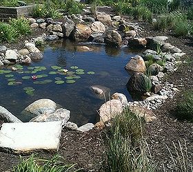 ecosystem ponds water gardens in the des moines iowa metro by just add water, outdoor living, ponds water features, To learn more about our pond construction https www facebook com notes just add water pond fish koi pond backyard landscape pond aquascape ecosystem pond water garden 478461102188914 Aquascape Ecosystem Pond Water Garden Koi Fish