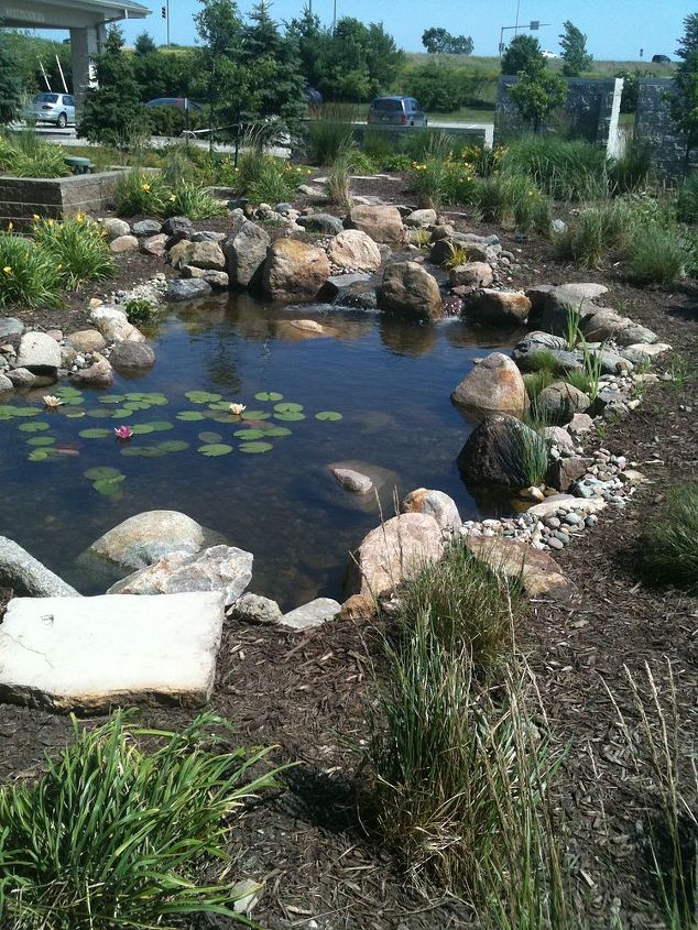 ecosystem ponds water gardens in the des moines iowa metro by just add water, outdoor living, ponds water features, To learn more about our pond construction https www facebook com notes just add water pond fish koi pond backyard landscape pond aquascape ecosystem pond water garden 478461102188914 Aquascape Ecosystem Pond Water Garden Koi Fish