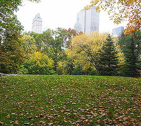 new york s central park, gardening
