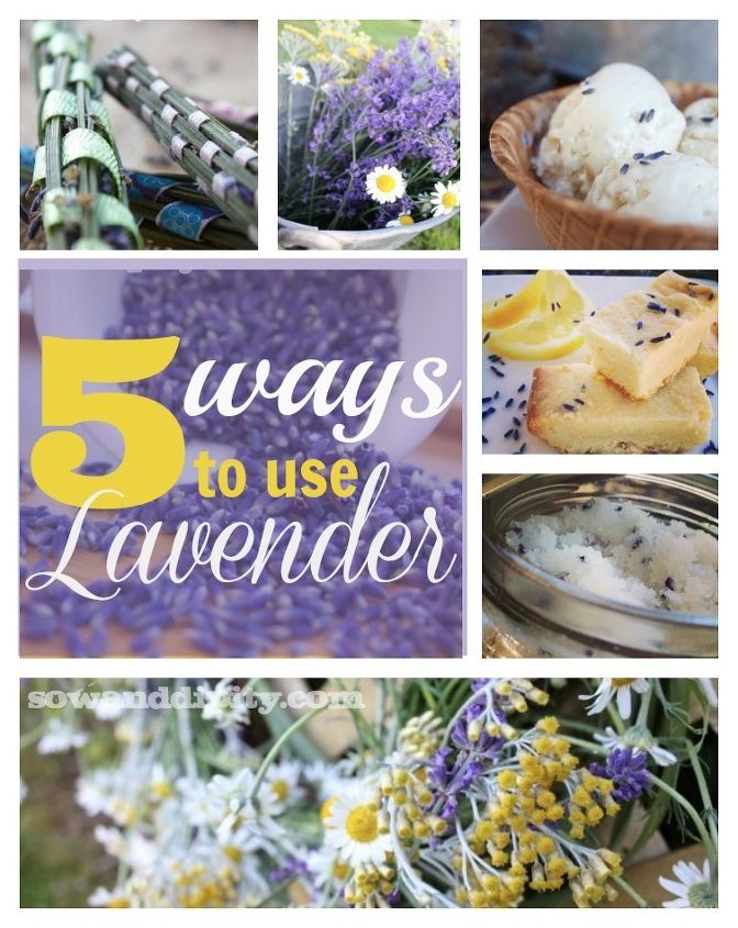 5 maneras de usar la lavanda en tu casa, Desde coronas de flores frescas hasta exfoliantes corporales aqu tienes 5 usos para tu hierba favorita