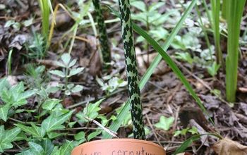 Plant Labels - Part 2 | Hometalk