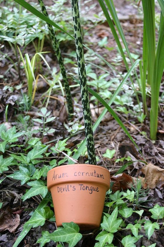 Plant Labels | Hometalk