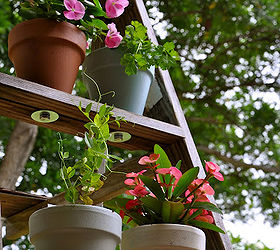 gardening repurposed ladders, gardening, repurposing upcycling, succulents, A ladder makes a vertical garden easy Follow the instructions to attach the pots to allow drainage and stability