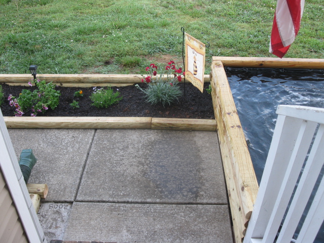 koi pond update, flowers, gardening, outdoor living, ponds water features, Coming down the steps from the front porch