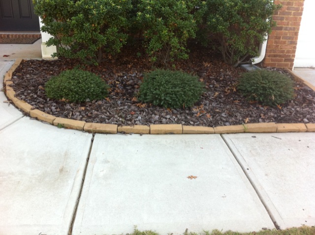 front yard landscaping, The bed is very plain and uninspired