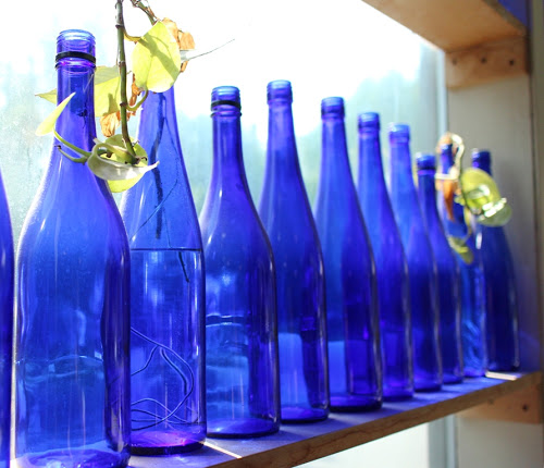 features from the anything blue friday party, home decor, A blue bottle collection from