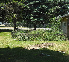 garden and pond from old home digging all up to take to new home, crafts, flowers, gardening, hibiscus, ponds water features, ok all here is the spot garden looks so empty w arbor gone and wild rose bush and do not forget the pond that was here too where dirt is