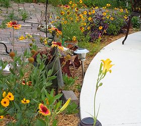 i garden with plants for wildlife and butterflies and native species that will thrive, flowers, gardening, outdoor living, ponds water features, blanket flowers coreiopsis moses in the cradle
