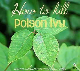 suggestions for killing poison ivy, gardening