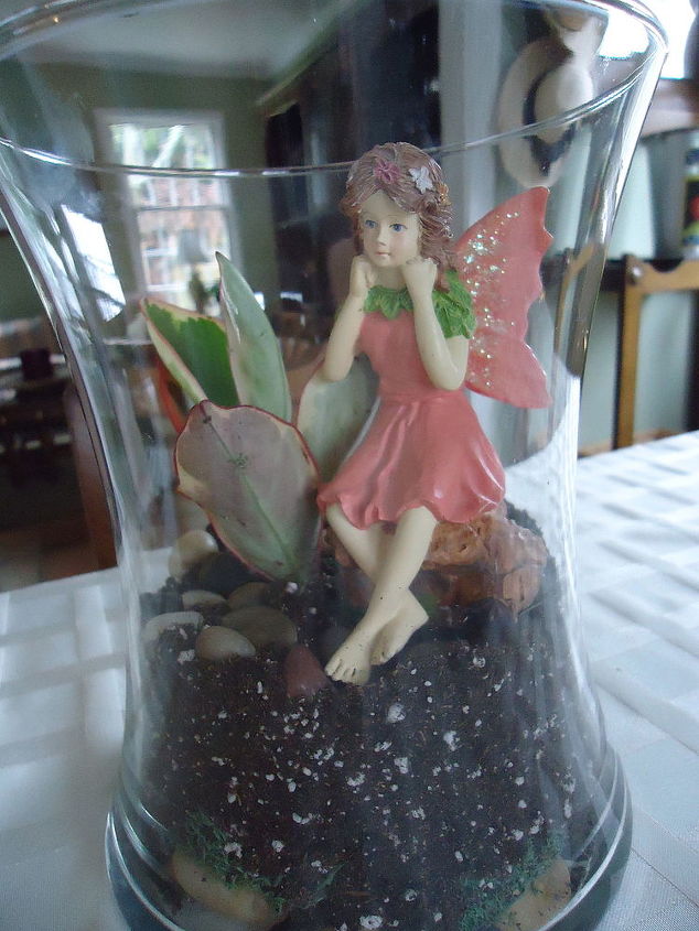 making a terrarium a snow day project, container gardening, crafts, gardening, succulents, terrarium, Once this plant grows the pink margins will compliment the pink fairy dress