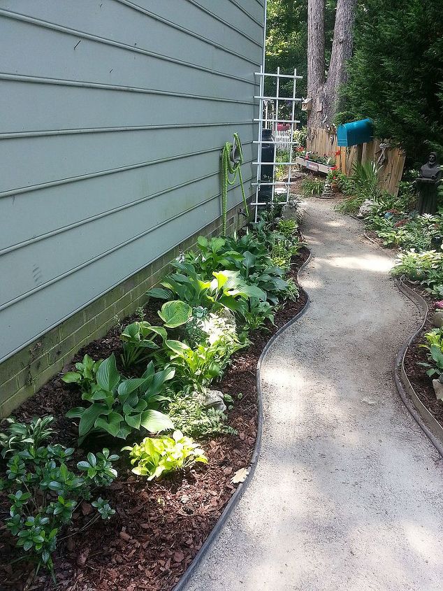 side yard beauty, gardening, landscape, Hostas and Japanese Painted ferns fill the area which is 99 shade
