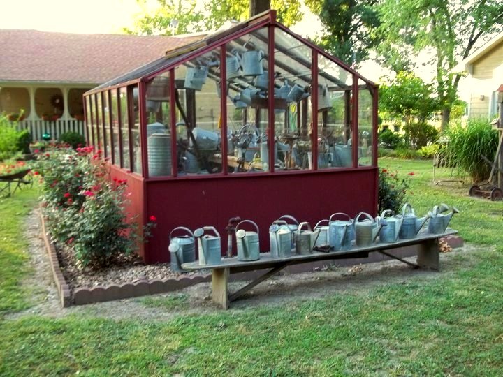 ever wonder why you can t find any old vintage watering cans, gardening, repurposing upcycling, Debbie s greenhouse How many do you see How many do you want
