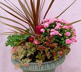 14 gorgeous fall planters, flowers, gardening, halloween decorations, perennials, seasonal holiday d cor, terrarium, Fall purples design by sow and dipity