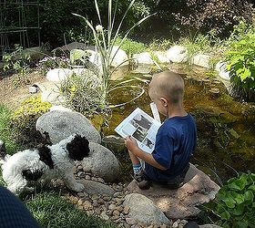pond pets, outdoor living, pets animals, ponds water features, Such fun reading to your pup by the pond