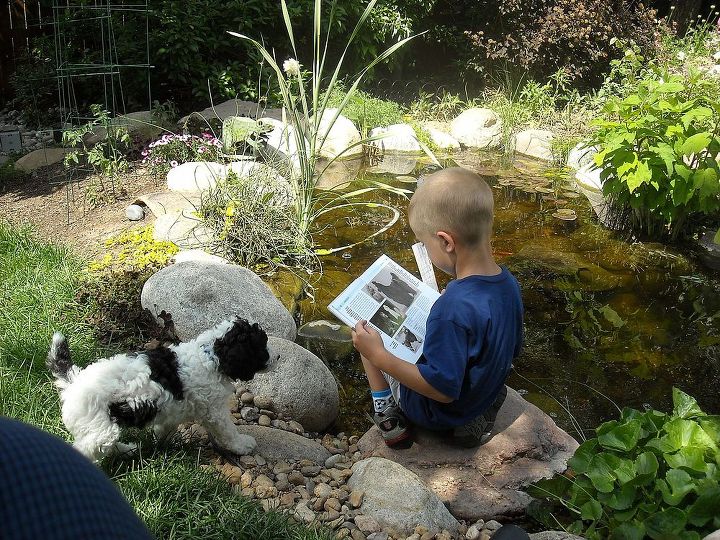 mascotas de estanque, Qu divertido es leerle a tu cachorro junto al estanque