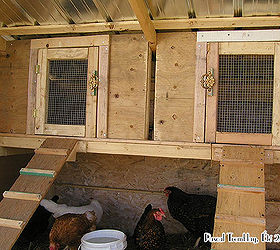 chicken coop hen coop building idea, diy, homesteading, outdoor living, pets animals, woodworking projects, My Chicken Coop Look very nice its an appartement for my laying hens Building instructions