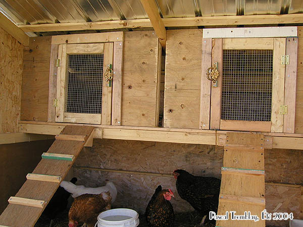 galinheiro galinheiro ideia de construir um galinheiro, meu galinheiro Parece timo um apartamento para minhas galinhas poedeiras Instru es de constru o