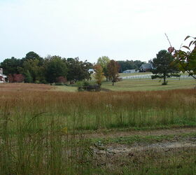 fall in alabama, gardening, landscape, outdoor living, More neighbors past a recently mown hay field