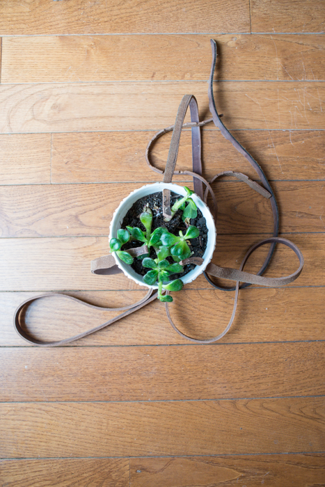 diy leather plant hanger, crafts, gardening, home decor, repurposing upcycling, Drill holes in your plant holder and then thread the belt through the holes