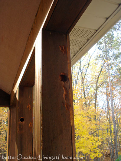 repairing woodpecker damage to a porch s cedar clad beams amp posts, home maintenance repairs, how to, porches, Woodpecker damage to posts