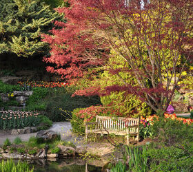 spring preview the rockery, gardening, More images in this post
