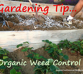 organic weed control for your garden, gardening