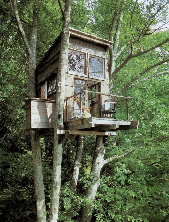 tree house, outdoor living