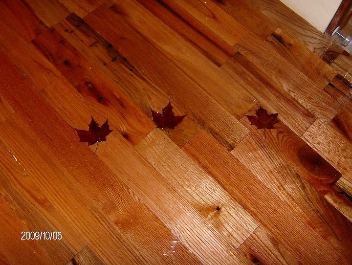 destruimos nuestra sala de estar y finalmente est hecho, el piso tiene hojas de arce reales bajo dos partes de poxy