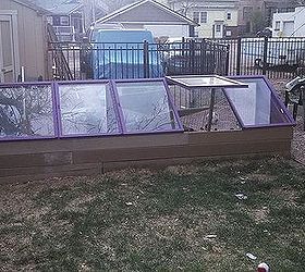 cold frame garden, diy, gardening, raised garden beds, Done Purple