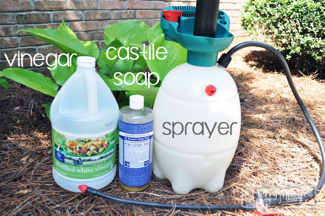 vinegar as an all natural weed killer, gardening, go green, A garden sprayer is the easiest way to use the vinegar but a spray bottle would work as well