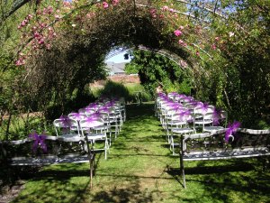just remembering a wonderful wedding in our garden, outdoor living, Just waiting for all to arrive It was a quick change over from wedding seating to reception lunch