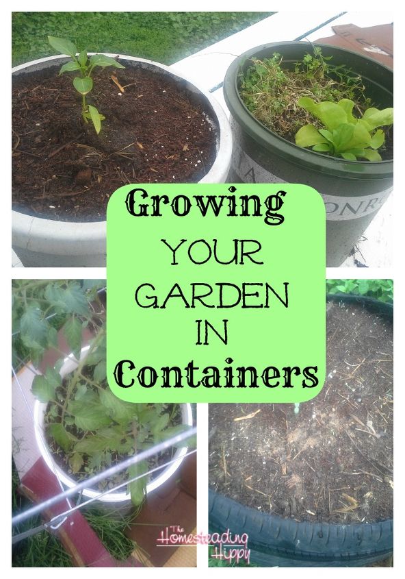 growing a garden in containers, container gardening, gardening