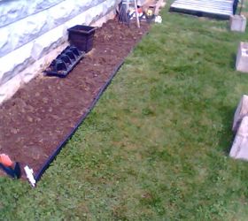 cinder block gardening, gardening, i cut a lil bit more out of the garden I will plant lettuce and carrots and radishes