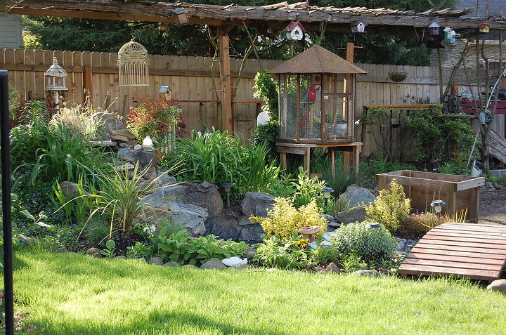 my backyard habitat, gardening, outdoor living, patio, pets animals, Macaws home