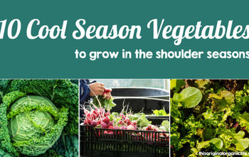 10 Cool Season Vegetables to Plant This Spring