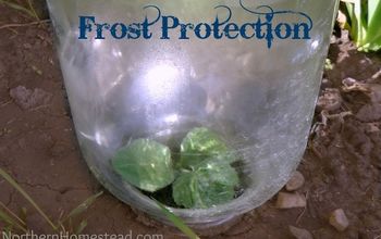 Glass Jars for Frost Protection