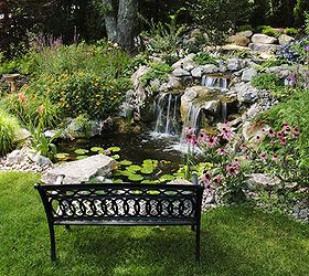 create a backyard oasis with a pond, landscape, outdoor living, ponds water features, A simple wrought iron bench provides a great viewing vantage of this beautiful pond and waterfall
