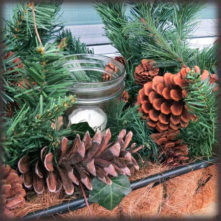 my window boxes are decked with mason jars, christmas decorations, gardening, seasonal holiday decor, windows