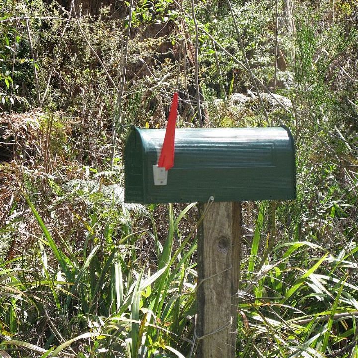 spring time in an australian bush garden, flowers, gardening, This US mailbox holds my gardening tools for impromptu weeding
