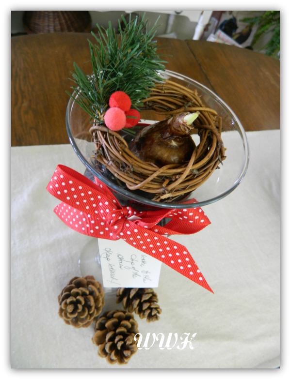 it s time to plant paperwhites, christmas decorations, container gardening, flowers, gardening, seasonal holiday decor, Add a red bow and tag with directions Great gift for any hostess