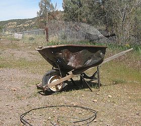 how to plant a rusty wheelbarrow for the garden, gardening, repurposing upcycling, The holy grail for a Flea Market Gardener Oh my Isn t it great