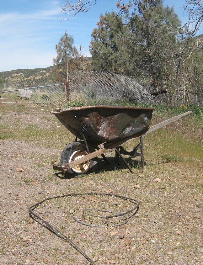 how to plant a rusty wheelbarrow for the garden, gardening, repurposing upcycling, The holy grail for a Flea Market Gardener Oh my Isn t it great